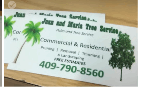 Live Office Assistant - Website Designer Near Me